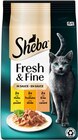 Katzennahrung Fresh & Fine Angebote von Sheba bei REWE Rostock für 2,19 €