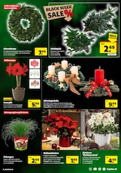 Aktueller Hagebaumarkt Prospekt mit Adventskranz, "BLACK WEEK SALE", Seite 19