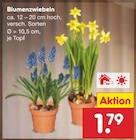 Blumenzwiebeln Angebote bei Netto Marken-Discount Reutlingen für 1,79 €