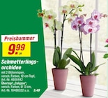 toom Baumarkt Mühlacker Prospekt mit  im Angebot für 3,49 €