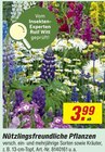 Nützlingsfreundliche Pflanzen Angebote bei toom Baumarkt Melle für 3,99 €