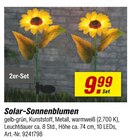 Solar-Sonnenblumen Angebote bei toom Baumarkt Gotha für 9,99 €