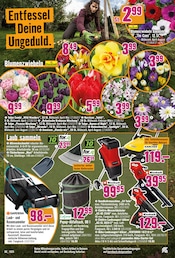 Aktueller Hornbach Prospekt mit Tulpen, "Wir sagen Danke.", Seite 28
