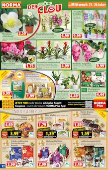 Beerensträucher Angebot im Norma Prospekt, gültig von 27.10.2025 bis 01.11.2025 Beerensträucher Angebot im aktuellen Norma Prospekt auf Seite 12