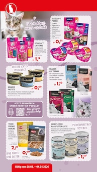 Katzenfutter im Zookauf Prospekt "ALLES BEREIT FÜR EUREN FRÜHLING" mit 8 Seiten (Neuss)