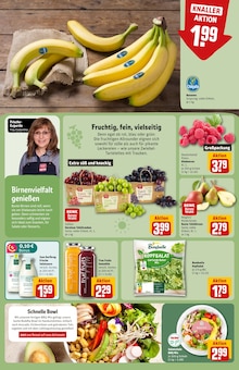 Bananen im aktuellen REWE Prospekt (Bielefeld) Bananen im REWE Prospekt "Dein Markt" mit 30 Seiten (Bielefeld)