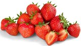 Premium Erdbeeren von REWE Beste Wahl im aktuellen nahkauf Prospekt