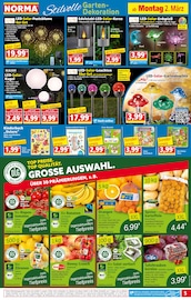 Aktueller Norma Prospekt mit Solarlampe, "Mehr fürs Geld", Seite 5