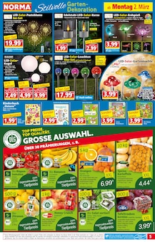 Salat im Norma Prospekt "Mehr fürs Geld" mit 20 Seiten (Frankfurt (Main))