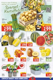 Salat Angebot im aktuellen E center Prospekt auf Seite 3
