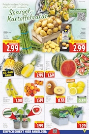 Ähnliche Kochbananen Angebote im Prospekt "Aktuelle Angebote" von E center Ähnliches Angebot bei E center in Prospekt "Aktuelle Angebote" gefunden auf Seite 3