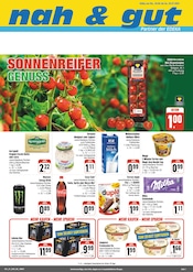 Aktueller nah und gut Supermarkt Prospekt in Wollbach und Umgebung, "Wir lieben Lebensmittel!" mit 4 Seiten, 30.06.2025 - 05.07.2025