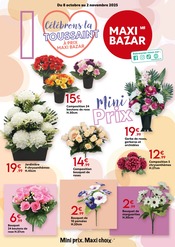 Chrysanthèmes Angebote im Prospekt "Célébrons la TOUSSAINT À PRIX MAXI BAZAR" von Maxi Bazar Chrysanthèmes Angebote im Prospekt "Célébrons la TOUSSAINT À PRIX MAXI BAZAR" von Maxi Bazar auf Seite 1