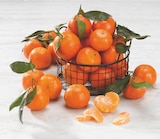 Clementine à feuilles en promo chez Super U Clementine à feuilles dans le catalogue Super U