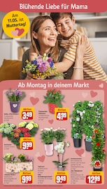Ähnliche Obstbaum Angebote im Prospekt "Dein Markt" von REWE in Bochum Ähnliche Angebote wie Obstbaum im Prospekt "Dein Markt" auf Seite 6 von REWE in Bochum