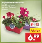 Bepflanzter Balkonkorb Angebote bei Netto Marken-Discount Kassel für 6,99 €