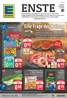 EDEKA Prospekt "Aktuelle Angebote" mit  Seiten (Hemer)