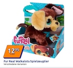Walkalots Spielzeugtier bei Action im Kirchhain Prospekt für 12,95 €