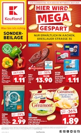 Aktueller Kaufland Prospekt mit Tierbedarf, "Sonderbeilage", Seite 1