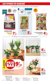 Plantes Angebote im Prospekt "Super U" von Super U Plantes Angebote im Prospekt "Super U" von Super U auf Seite 38