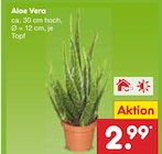 Aloe Vera bei Netto Marken-Discount im Prospekt "" für 2,99 €