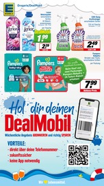 Windeln im EDEKA Prospekt in Lingen Aktueller EDEKA Prospekt mit Windeln, "Aktuelle Angebote", Seite 27