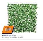 Action Wolfenbüttel - Künstliches Efeu Angebot im Prospekt Künstliches Efeu bei Action im Wolfenbüttel Prospekt für 14,95 €