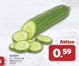 famila Nordwest Syke Prospekt mit  im Angebot für 0,59 €