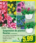 Promo Suspension de plantes fleuries retombantes à 5,99 € dans le catalogue Norma à L'Hôpital