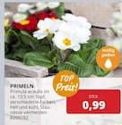 BBM Baumarkt Barsinghausen Prospekt mit  im Angebot für 0,99 €