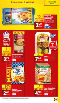 Promo Poulet dans le catalogue Lidl du moment à la page 9