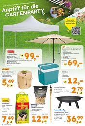 Aktueller Globus-Baumarkt Prospekt mit Deko, "Immer eine Idee besser", Seite 4