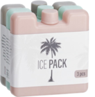 Bloc réfrigérant en promo chez Bazarland Charleville-Mézières à 0,79 €