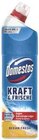 Kraft & Frische WC Gel im Angebot bei combi in Detmold Kraft & Frische WC Gel Angebote von Domestos bei combi Detmold für 1,59 €