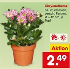Aktuelle Chrysantheme Angebote bei Netto Marken-Discount in Frankfurt (Main) Aktuelles Chrysantheme Angebot bei Netto Marken-Discount in Frankfurt (Main) ab 2,49 €