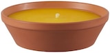 Assiette en terre cuite avec bougie à la citronnelle - LIVARNO - Lidl à Romans-sur-Isère Assiette en terre cuite avec bougie à la citronnelle - LIVARNO en promo chez Lidl Romans-sur-Isère à 2,99 €