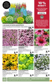 Aktueller Dehner Garten-Center Prospekt mit Bio, "Aktuelle Angebote", Seite 5