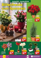 Blumentopf im Netto Marken-Discount Prospekt in Stuttgart Aktueller Netto Marken-Discount Prospekt mit Blumentopf, "Aktuelle Angebote", Seite 12