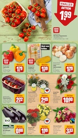 Paprika im REWE Prospekt in Dreieich Aktueller REWE Prospekt mit Paprika, "Dein Markt", Seite 11