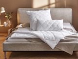 Aktuelles Sommerbett Angebot bei XXXLutz in Aachen ab 9,99 €
