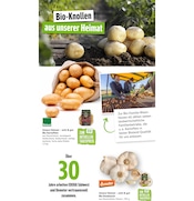 Aktueller Marktkauf Prospekt mit Knoblauch, "Aktuelle Angebote", Seite 33
