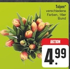 Aktuelles Tulpen Angebot bei EDEKA in Dresden ab 4,99 €