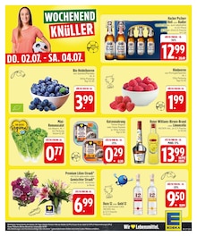 Katzenfutter im aktuellen EDEKA Prospekt (Regensburg) Katzenfutter im EDEKA Prospekt "Wir lieben Lebensmittel." mit 26 Seiten (Regensburg)