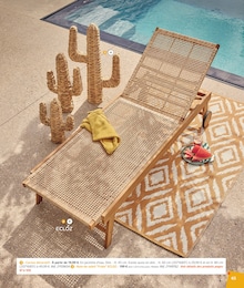 Offre Cactus dans le catalogue Jardiland du moment à la page 65