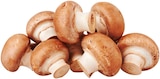 Braune Champignons Angebote von REWE Regional bei REWE Nürnberg für 1,49 €