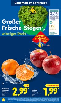 Äpfel im aktuellen Lidl Prospekt (Hannover) Äpfel im Lidl Prospekt "LIDL LOHNT SICH" mit 72 Seiten (Hannover)