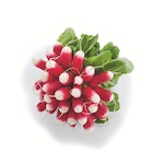 Supermarchés Match Liederschiedt - Promo Radis Promo Radis à 0,99 € dans le catalogue Supermarchés Match à Liederschiedt