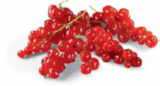 Johannisbeeren rot von HEIMAT für 3,49 € bei Netto Marken-Discount im Angebot Johannisbeeren rot von HEIMAT im aktuellen Netto Marken-Discount Prospekt