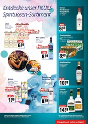 Likör im Logo Getränkemarkt Prospekt in Maintal Aktueller Logo Getränkemarkt Prospekt mit Likör, "Aktuelle Angebote", Seite 6