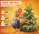Edle Nordmanntannen Angebote bei OBI Bad Münder für 17,99 €